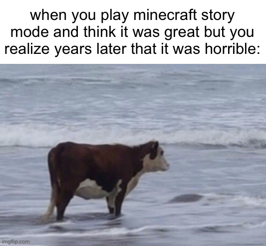 imagine trading a wither skull for one singular diamond | when you play minecraft story mode and think it was great but you realize years later that it was horrible: | image tagged in minecraft,minecraft story mode | made w/ Imgflip meme maker