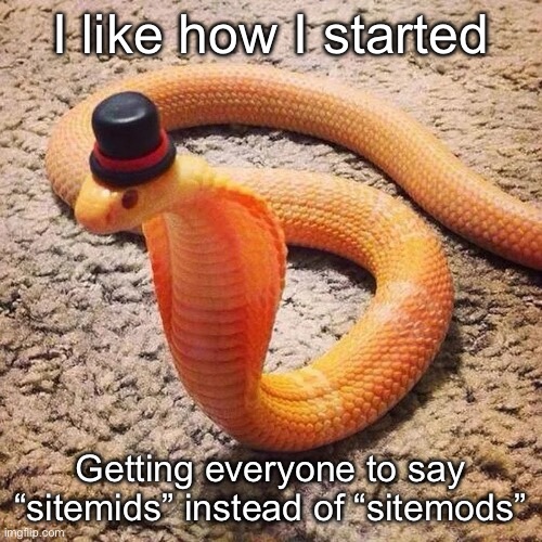 dapper snek | I like how I started; Getting everyone to say “sitemids” instead of “sitemods” | image tagged in dapper snek | made w/ Imgflip meme maker