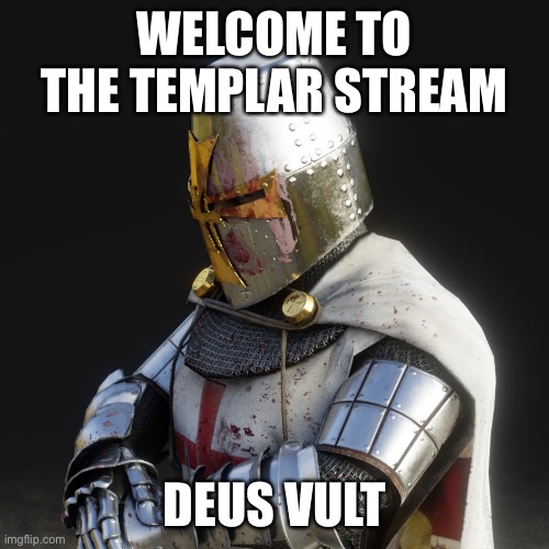 Greetings and welcome | WELCOME TO THE TEMPLAR STREAM; DEUS VULT | image tagged in paladin | made w/ Imgflip meme maker