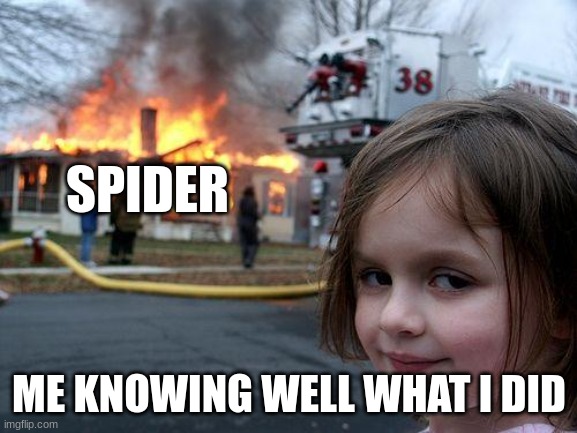 Disaster Girl Meme | SPIDER; ME KNOWING WELL WHAT I DID | image tagged in memes,disaster girl | made w/ Imgflip meme maker