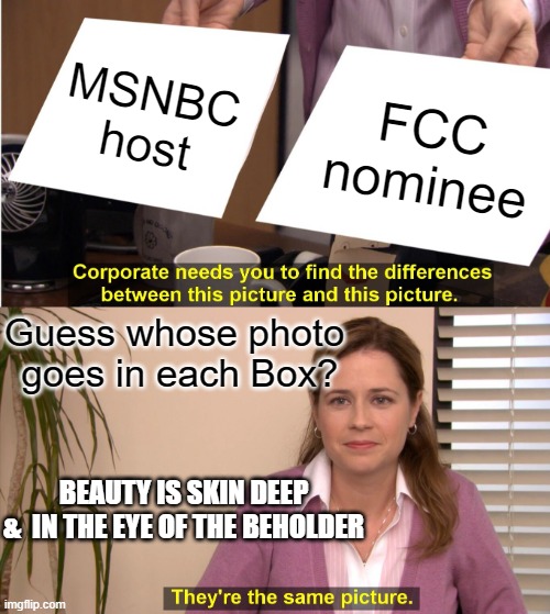 FCC & MSNBC |  MSNBC
host; FCC
nominee; Guess whose photo
 goes in each Box? BEAUTY IS SKIN DEEP
&  IN THE EYE OF THE BEHOLDER | image tagged in memes,they're the same picture,biden obama,hillary clinton,rachel maddow,rishi sunak | made w/ Imgflip meme maker