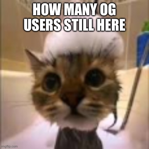 His dumbass is NOT taking a shower!!! | HOW MANY OG USERS STILL HERE | image tagged in his dumbass is not taking a shower | made w/ Imgflip meme maker