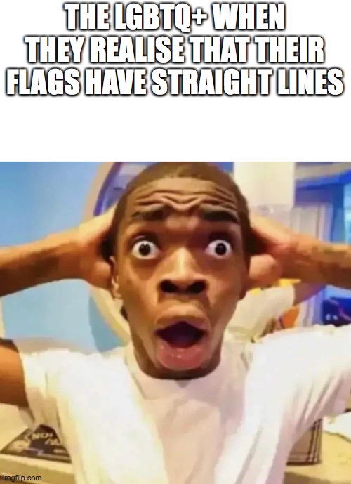 Shocked black guy grabbing head | THE LGBTQ+ WHEN THEY REALISE THAT THEIR FLAGS HAVE STRAIGHT LINES | image tagged in shocked black guy grabbing head | made w/ Imgflip meme maker