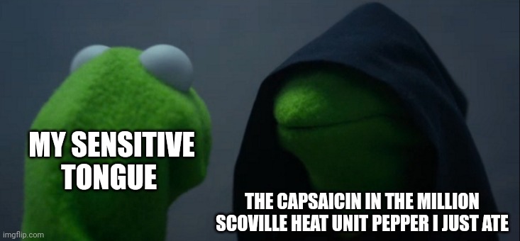 I'm sensitive to spicy food | MY SENSITIVE TONGUE; THE CAPSAICIN IN THE MILLION SCOVILLE HEAT UNIT PEPPER I JUST ATE | image tagged in memes,evil kermit | made w/ Imgflip meme maker