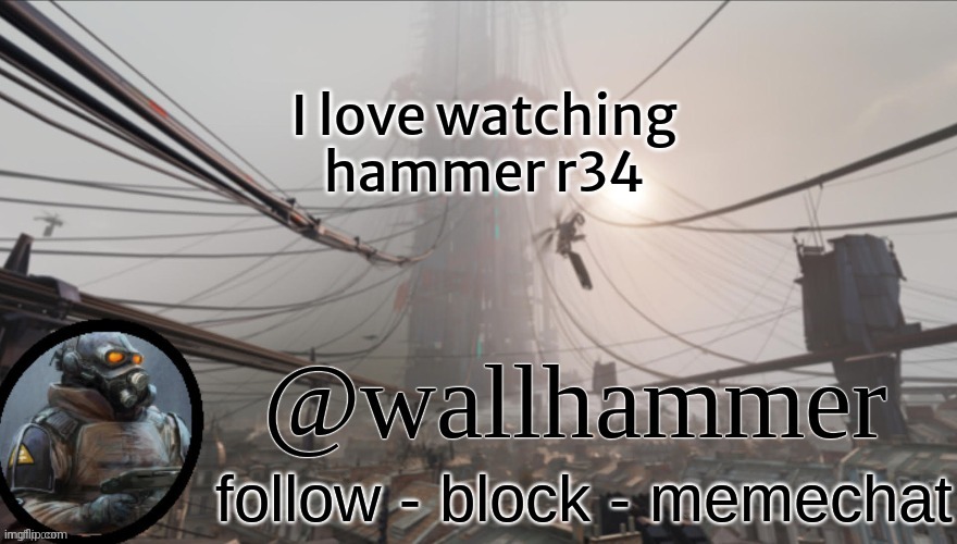 Wallhammer temp (thanks Bluehonu) | I love watching hammer r34 | image tagged in wallhammer temp thanks bluehonu | made w/ Imgflip meme maker
