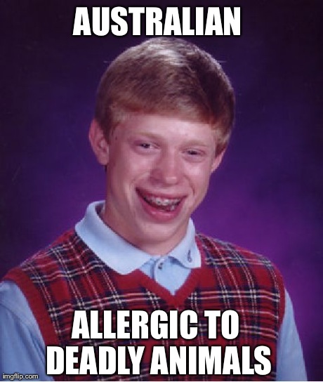 Bad Luck Brian Meme | AUSTRALIAN  ALLERGIC TO DEADLY ANIMALS | image tagged in memes,bad luck brian,AdviceAnimals | made w/ Imgflip meme maker