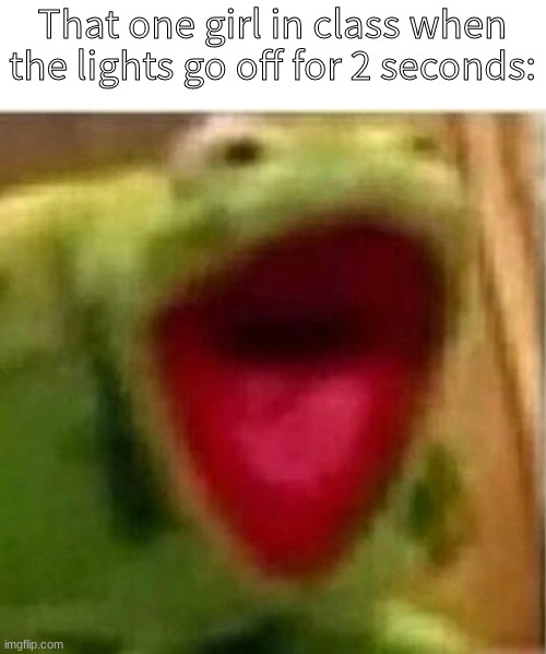 AHHHHHHHHHHHHH | That one girl in class when the lights go off for 2 seconds: | image tagged in ahhhhhhhhhhhhh,reeeeeeeeeeeeeeeeeeeeee,eeeeee | made w/ Imgflip meme maker