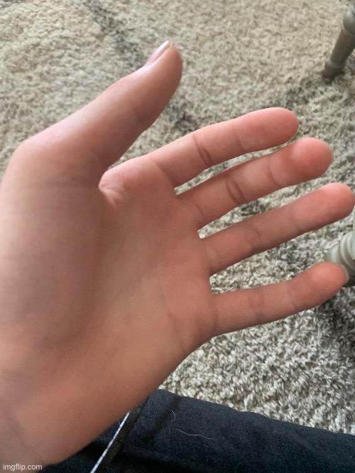 Hand. | image tagged in hand | made w/ Imgflip meme maker