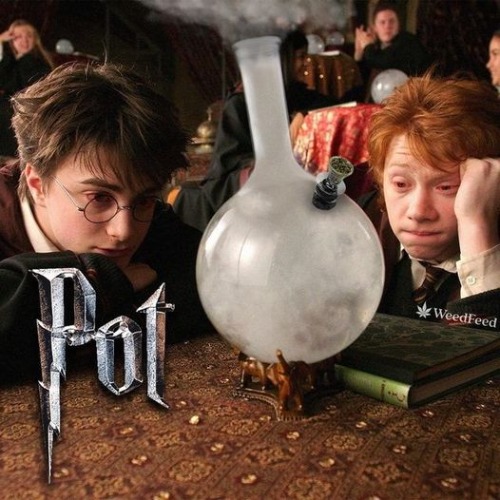 harry pot | image tagged in bong,pot | made w/ Imgflip meme maker