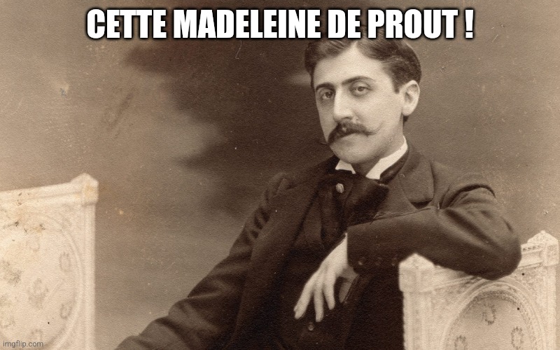 Marcel Proust | CETTE MADELEINE DE PROUT ! | image tagged in marcel proust | made w/ Imgflip meme maker