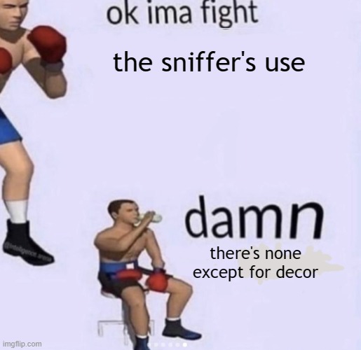 minecraft | the sniffer's use; there's none except for decor | image tagged in damn got hands | made w/ Imgflip meme maker