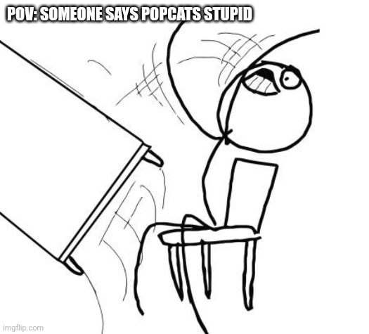 NEVER say lord popcats stupid >:[ | POV: SOMEONE SAYS POPCATS STUPID | image tagged in memes,table flip guy | made w/ Imgflip meme maker