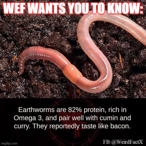 Future Food | WEF WANTS YOU TO KNOW: | image tagged in wef,food,tasteslikebacon | made w/ Imgflip meme maker