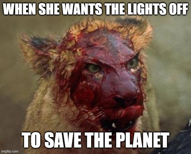 green | WHEN SHE WANTS THE LIGHTS OFF; TO SAVE THE PLANET | image tagged in climate change,climate,red green,environmental protection agency | made w/ Imgflip meme maker