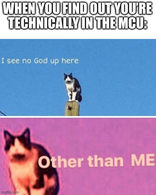 Hail pole cat | WHEN YOU FIND OUT YOU’RE TECHNICALLY IN THE MCU: | image tagged in hail pole cat | made w/ Imgflip meme maker