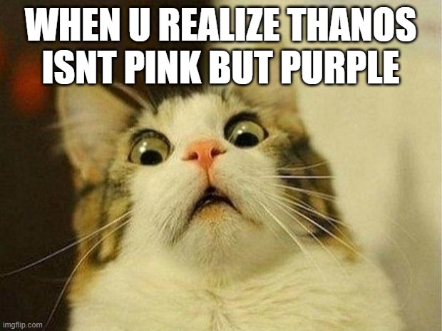 Scared Cat | WHEN U REALIZE THANOS ISNT PINK BUT PURPLE | image tagged in memes,scared cat | made w/ Imgflip meme maker