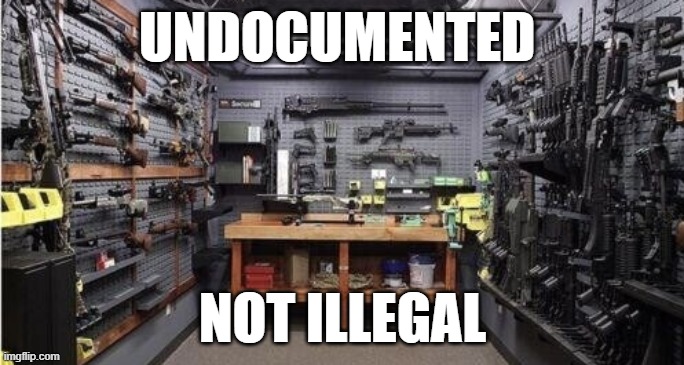 imigration |  UNDOCUMENTED; NOT ILLEGAL | image tagged in 2nd amendment,gun control,gun rights | made w/ Imgflip meme maker