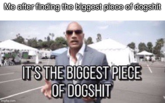 it's the biggest piece of dogshit | Me after finding the biggest piece of dogshit | image tagged in it's the biggest piece of dogshit | made w/ Imgflip meme maker