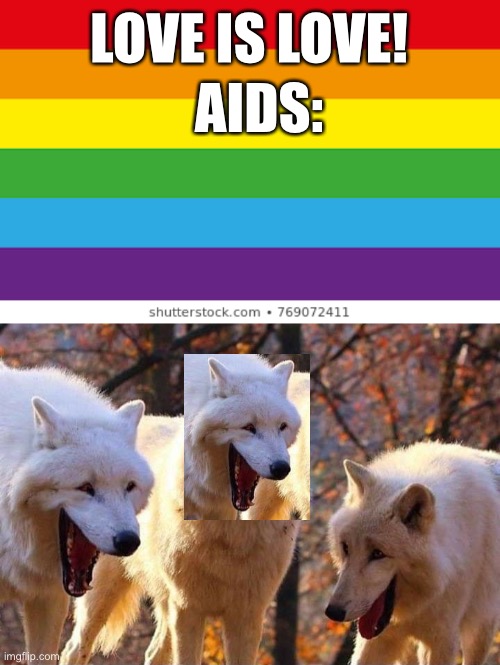 wut | LOVE IS LOVE! AIDS: | image tagged in lgbtqp,laughing wolf | made w/ Imgflip meme maker