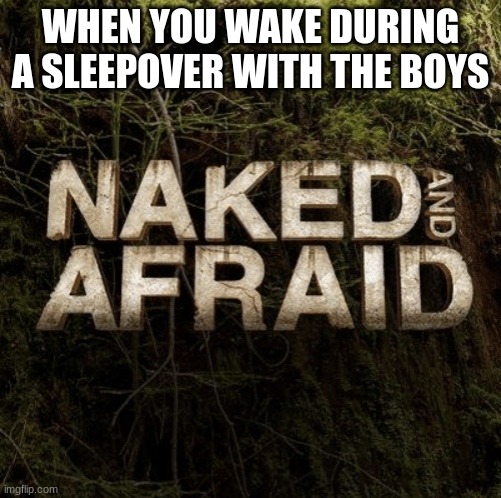the boys | WHEN YOU WAKE DURING A SLEEPOVER WITH THE BOYS | image tagged in naked and afraid | made w/ Imgflip meme maker