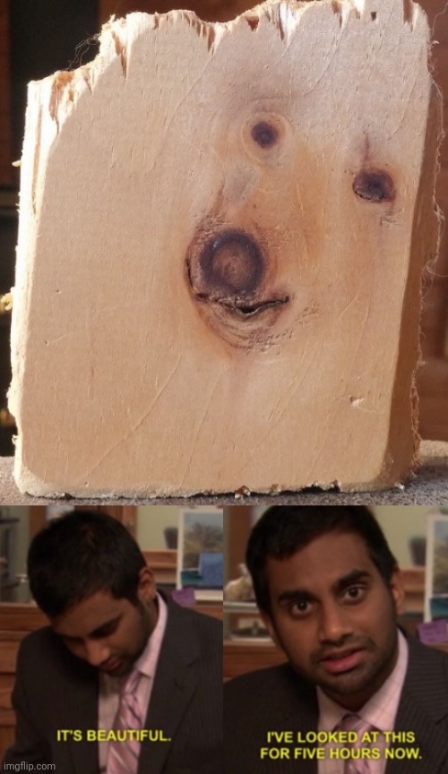 Dog wood | image tagged in i've looked at this for 5 hours now,dog,wood,woods,dogs,memes | made w/ Imgflip meme maker