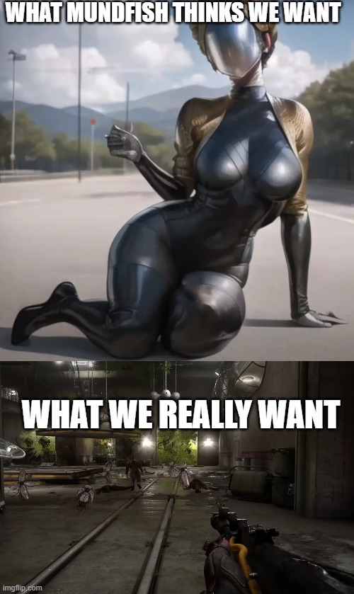 WHAT MUNDFISH THINKS WE WANT; WHAT WE REALLY WANT | made w/ Imgflip meme maker