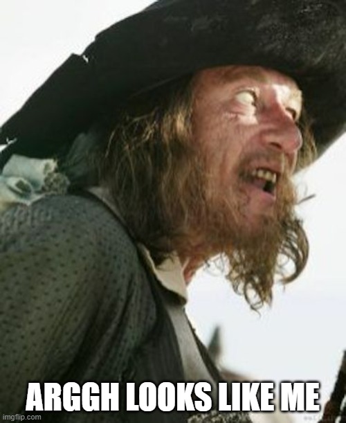 barbosa pirate | ARGGH LOOKS LIKE ME | image tagged in barbosa pirate | made w/ Imgflip meme maker