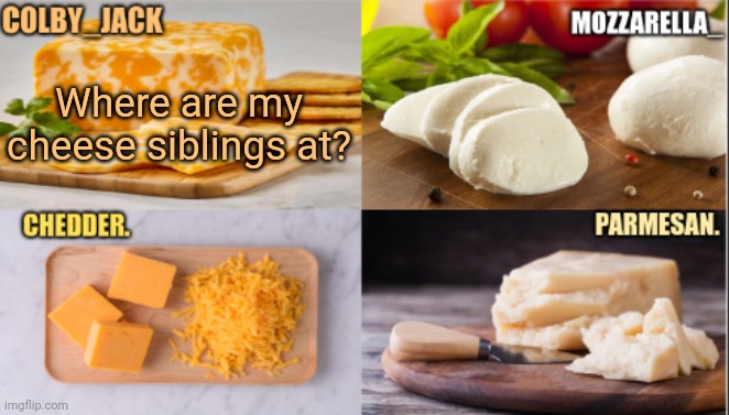 The Cheese Temp | Where are my cheese siblings at? | image tagged in the cheese temp | made w/ Imgflip meme maker