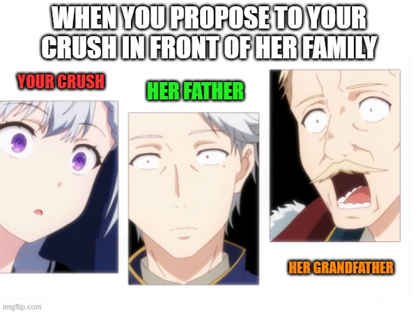 shoking proposal | WHEN YOU PROPOSE TO YOUR CRUSH IN FRONT OF HER FAMILY; YOUR CRUSH; HER FATHER; HER GRANDFATHER | image tagged in memes | made w/ Imgflip meme maker