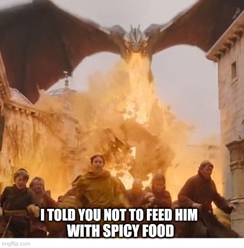 Dragon burns kings landing | I TOLD YOU NOT TO FEED HIM; WITH SPICY FOOD | image tagged in dragon burns kings landing | made w/ Imgflip meme maker