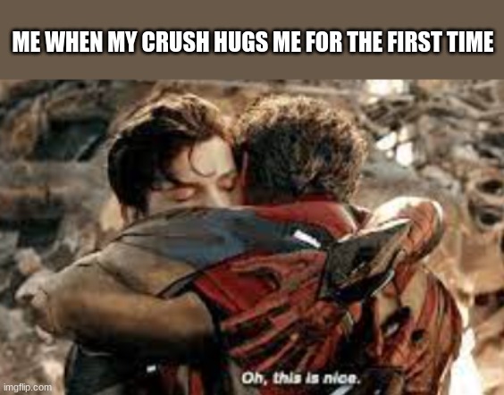 oh, this is nice | ME WHEN MY CRUSH HUGS ME FOR THE FIRST TIME | image tagged in fun | made w/ Imgflip meme maker