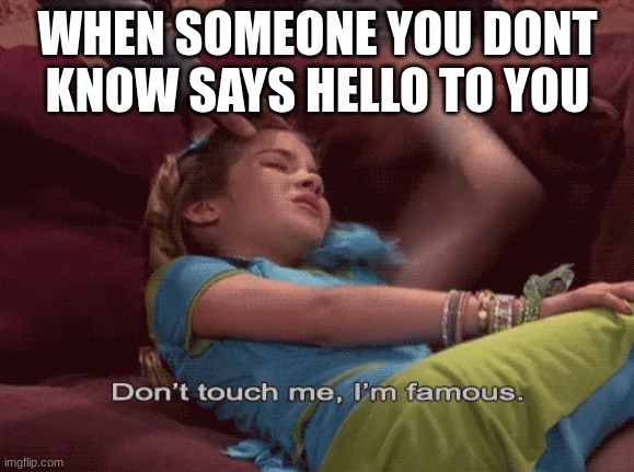 Im kinda famous ngl | WHEN SOMEONE YOU DONT KNOW SAYS HELLO TO YOU | image tagged in don't touch me i'm famous | made w/ Imgflip meme maker