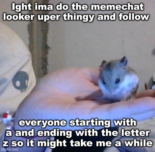 Hampter | Ight ima do the memechat looker uper thingy and follow; everyone starting with a and ending with the letter z so it might take me a while | image tagged in hampter | made w/ Imgflip meme maker