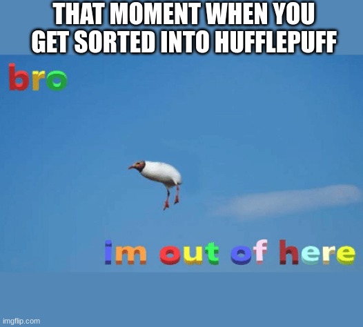 Potato house (if you know what I mean.) | THAT MOMENT WHEN YOU GET SORTED INTO HUFFLEPUFF | image tagged in bro im out of here,hufflepuff | made w/ Imgflip meme maker