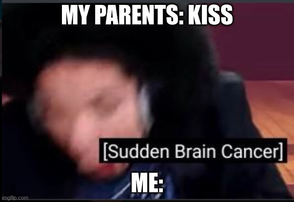 Should that happen kill yourself and I mean it. | MY PARENTS: KISS; ME: | image tagged in sudden brain cancer,cringe,parents | made w/ Imgflip meme maker