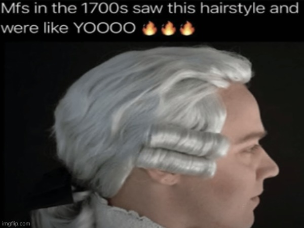the hairstyle tho | image tagged in 1700,hair,hairstyle | made w/ Imgflip meme maker