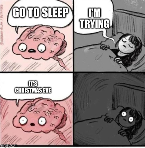 Trying to sleep | I'M TRYING; GO TO SLEEP; IT'S CHRISTMAS EVE | image tagged in trying to sleep | made w/ Imgflip meme maker