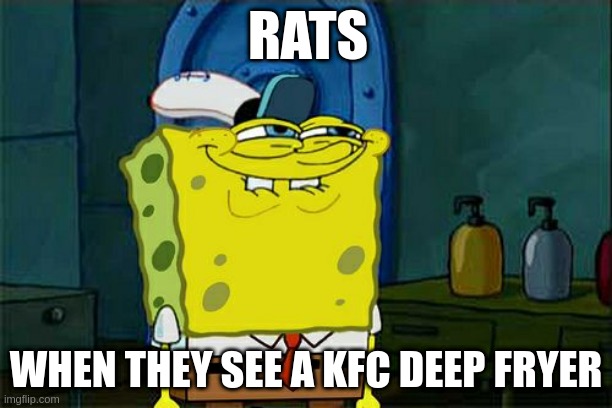 kfc moment | RATS; WHEN THEY SEE A KFC DEEP FRYER | image tagged in memes,don't you squidward,fun | made w/ Imgflip meme maker