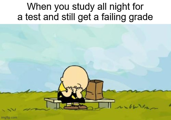 whelp, I've done it again | When you study all night for a test and still get a failing grade | image tagged in depressed charlie brown,school | made w/ Imgflip meme maker