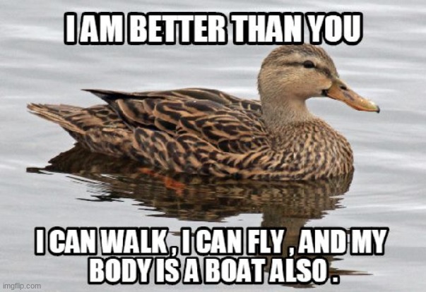 ducks are gods | image tagged in stupid | made w/ Imgflip meme maker