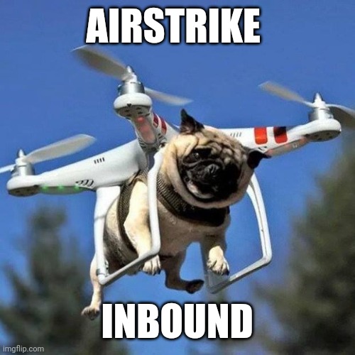 So true | AIRSTRIKE; INBOUND | image tagged in flying pug | made w/ Imgflip meme maker