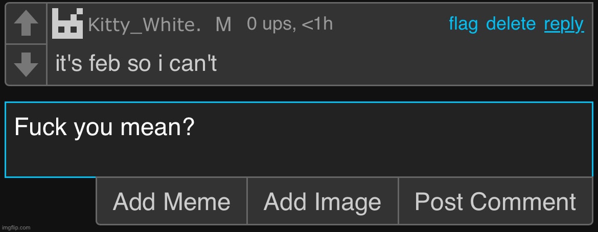 made w/ Imgflip meme maker