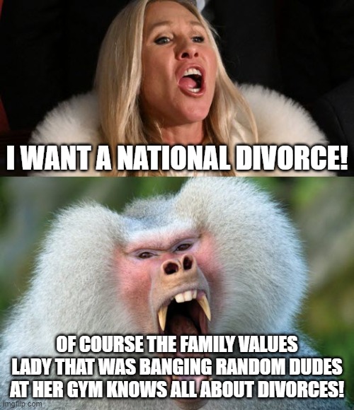 MTG Monkey | I WANT A NATIONAL DIVORCE! OF COURSE THE FAMILY VALUES LADY THAT WAS BANGING RANDOM DUDES AT HER GYM KNOWS ALL ABOUT DIVORCES! | image tagged in mtg monkey | made w/ Imgflip meme maker