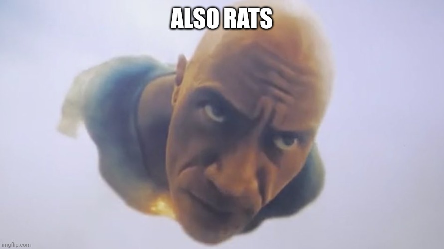 Black Adam Meme | ALSO RATS | image tagged in black adam meme | made w/ Imgflip meme maker