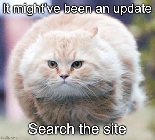 bullet cat | It might’ve been an update; Search the site | image tagged in bullet cat | made w/ Imgflip meme maker