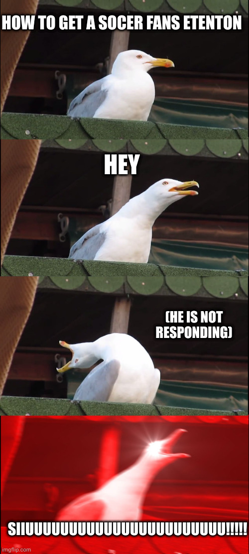 Inhaling Seagull Meme | HOW TO GET A SOCER FANS ETENTON; HEY; (HE IS NOT RESPONDING); SIIUUUUUUUUUUUUUUUUUUUUUUU!!!!! | image tagged in memes,inhaling seagull | made w/ Imgflip meme maker