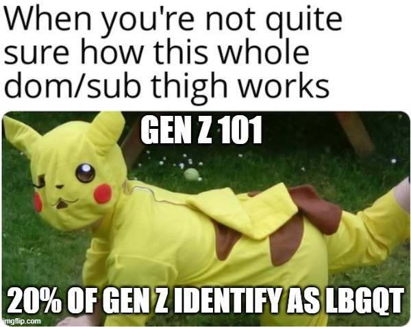 Gen Z | GEN Z 101; 20% OF GEN Z IDENTIFY AS LBGQT | image tagged in gen z | made w/ Imgflip meme maker