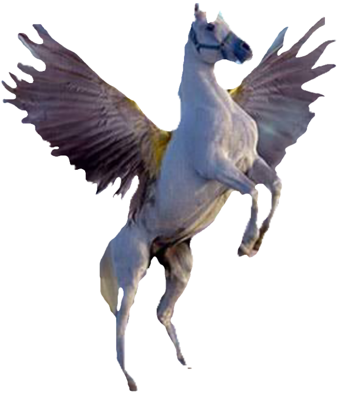Pegasus on back legs Blank Meme Template