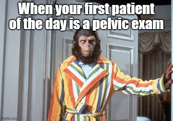 When your first patient of the day is a pelvic exam | When your first patient of the day is a pelvic exam | image tagged in monkey,gynecologist,doctor,planet of the apes | made w/ Imgflip meme maker