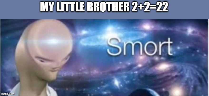 Meme man smort | MY LITTLE BROTHER 2+2=22 | image tagged in meme man smort | made w/ Imgflip meme maker